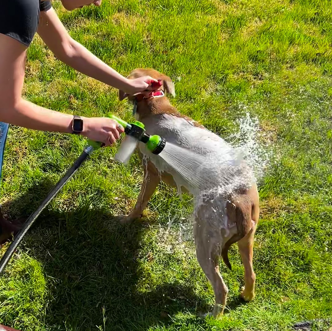 Nem og hurtig rengøringsspray til kæledyr
