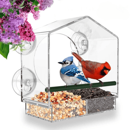 Premium Bird Feeder voor ramen